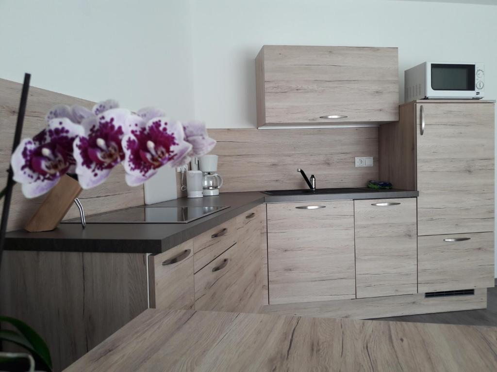 Kuchyň nebo kuchyňský kout v ubytování Appartment Charly