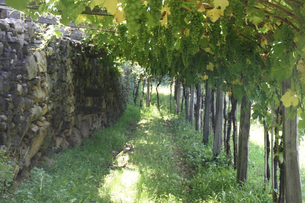 Ogród w obiekcie Relais del Brigante