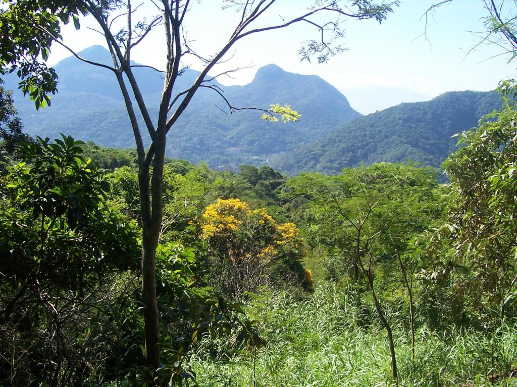  Casa São Conrado