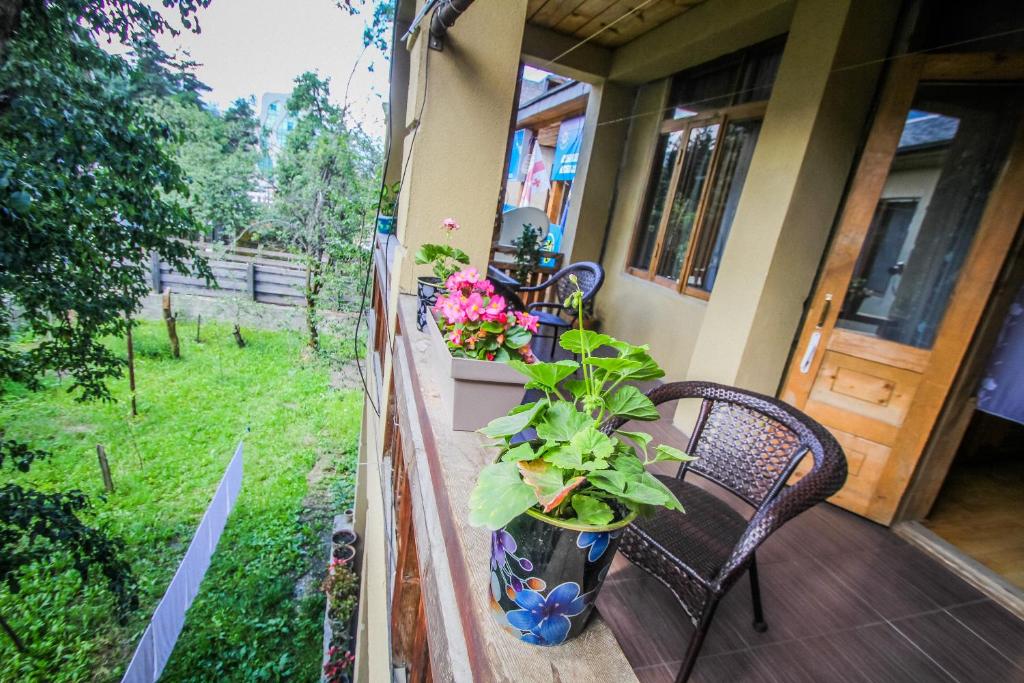 Zahrada ubytování Eka&Nino GuestHouse
