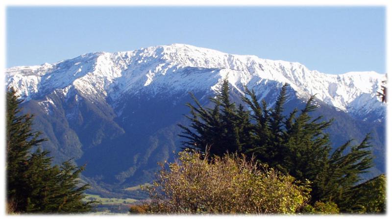 The Lazy Shag Lodge - Resim 25