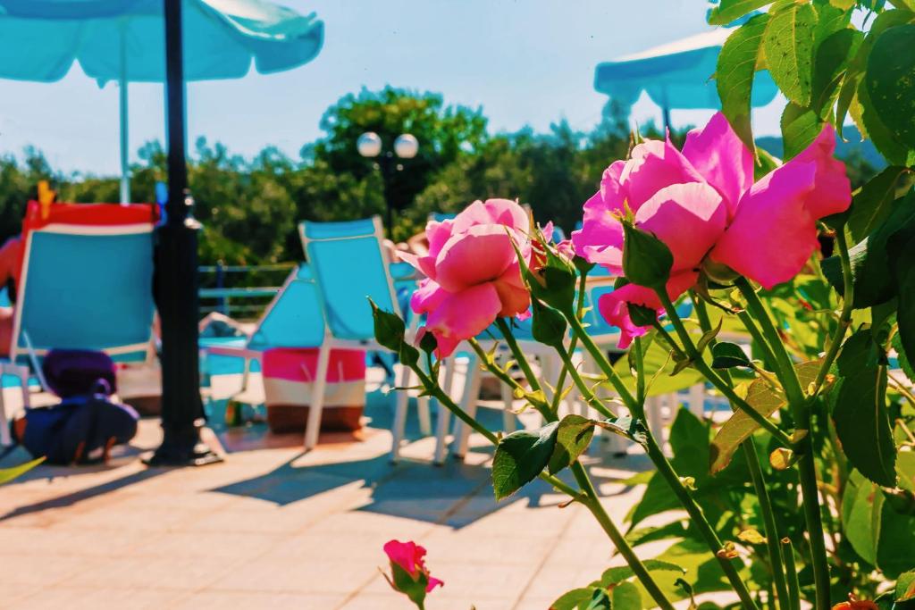 Сад в Villa Diamond