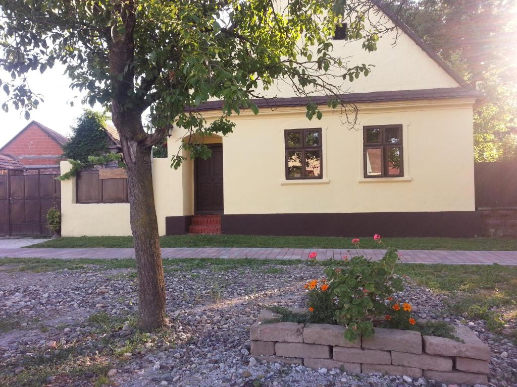 ein Haus mit einem Baum im Vorgarten in der Unterkunft Snašini kućari in Gradište