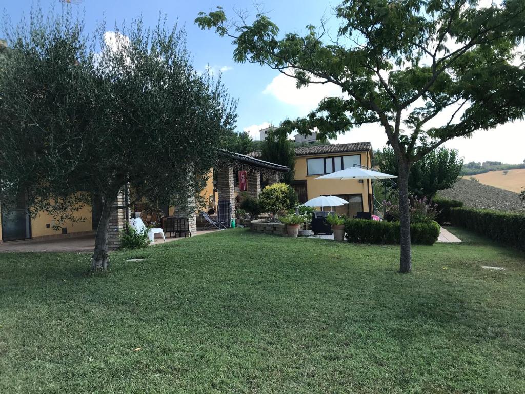 Cerasus B&B - отзывы и видео