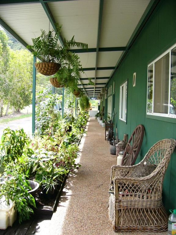 Zahrada ubytování Daintree Wild Bed & Breakfast