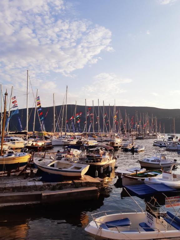 Un montón de barcos están atracados en un puerto en Apartments Skver, en Herceg-Novi