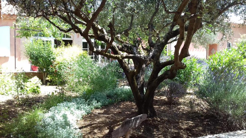 Zahrada ubytování Les Jardins de l'Ermitage