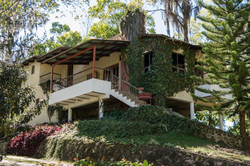 Zahrada ubytování Hotel Altocerro