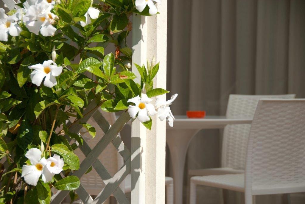 Zdjęcie z galerii obiektu Il Marlo Suite & Breakfast w mieście Marina di Carrara