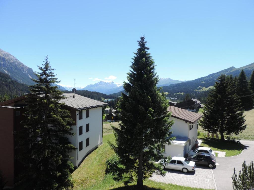 Příroda nedaleko apartmánu