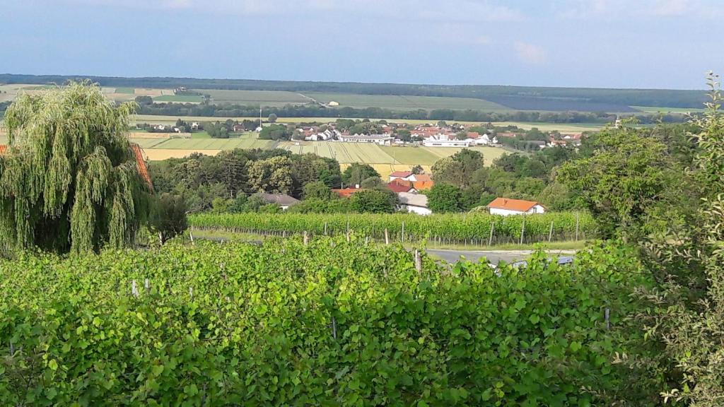 Příroda nedaleko apartmánu