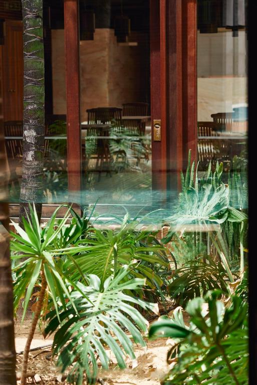 a group of plants in front of a building at Hotel Porto Santo & Spa in Porto Santo