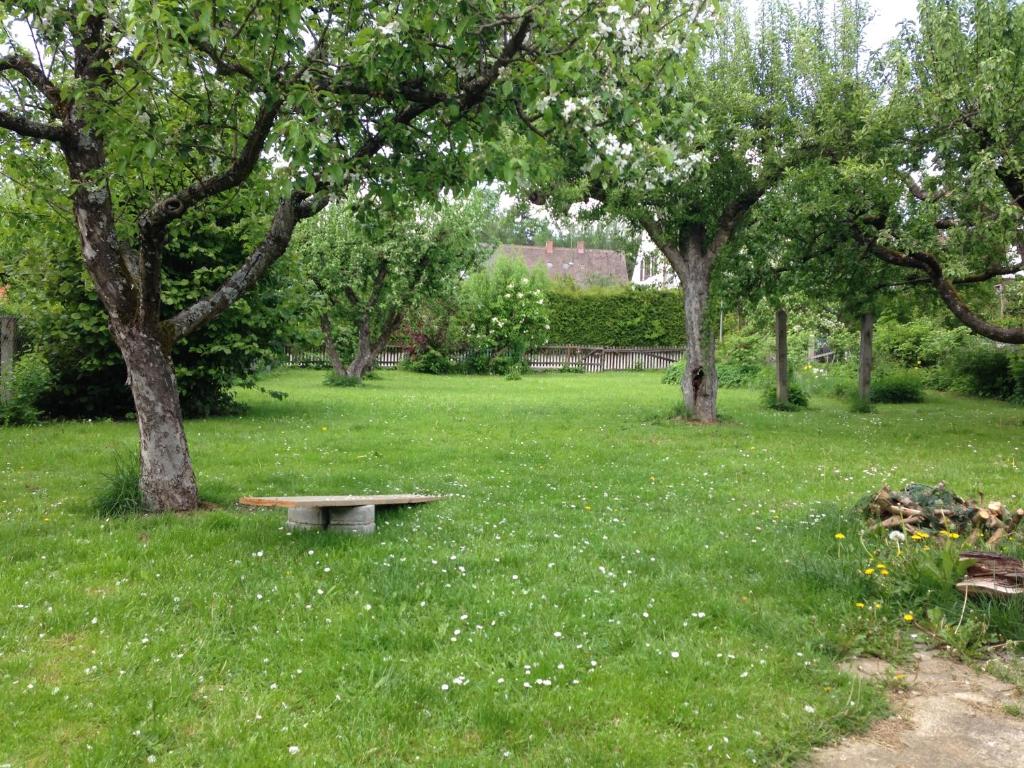 ein Park mit einer Bank im Gras mit Bäumen in der Unterkunft Augsburg-Bergheim E. in Augsburg