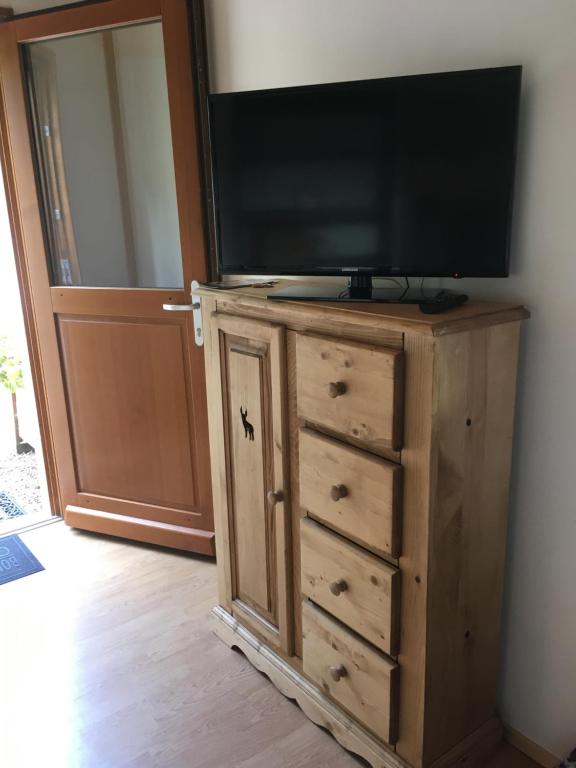 TV a/nebo společenská místnost v ubytování Le Syote