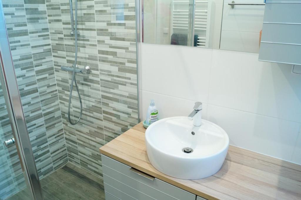Koupelna v ubytování Apartmány Mary