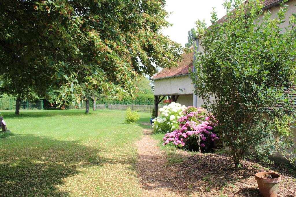 A garden outside Le Poule House