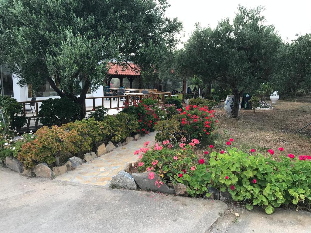 Tholos Rooms