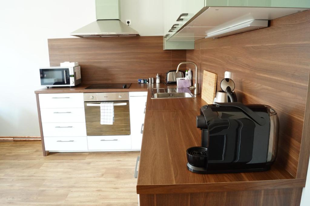 Kuchyň nebo kuchyňský kout v ubytování Apartmány Mary