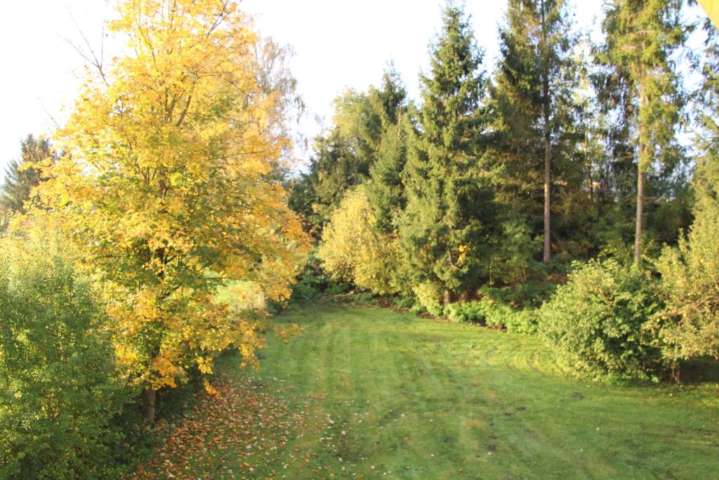 Zahrada ubytování Narrenhaus