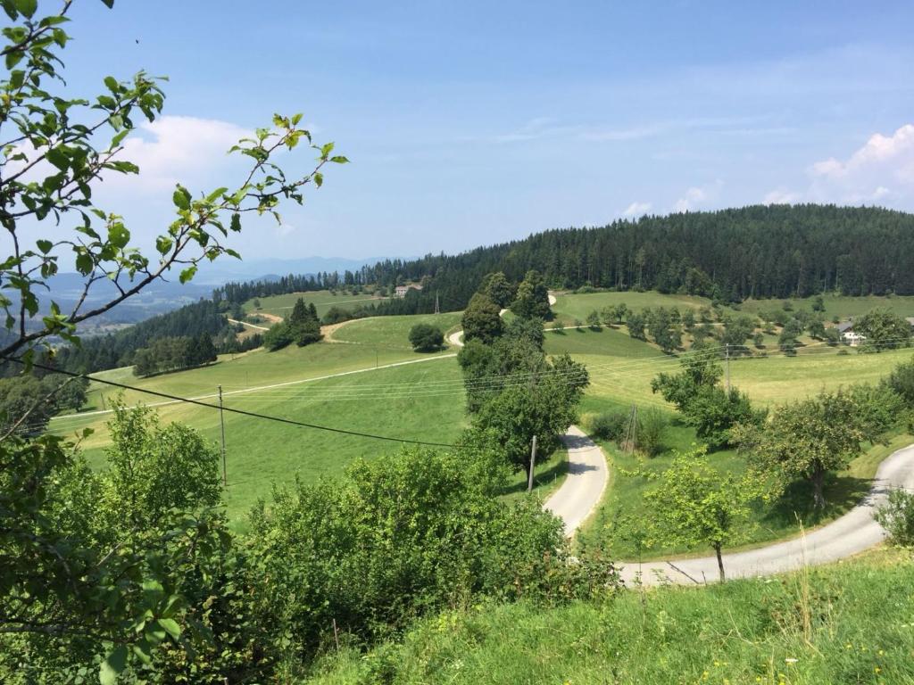 Příroda nedaleko apartmánu