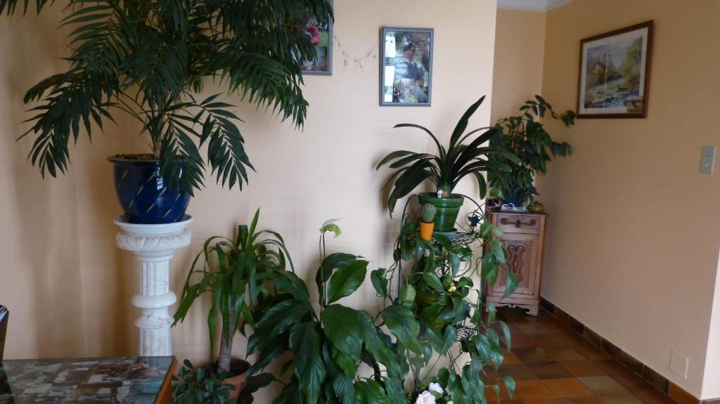 Fotografie z fotogalerie ubytování Chambres d'Hôtes La Plantade v destinaci La Barthe-de-Neste