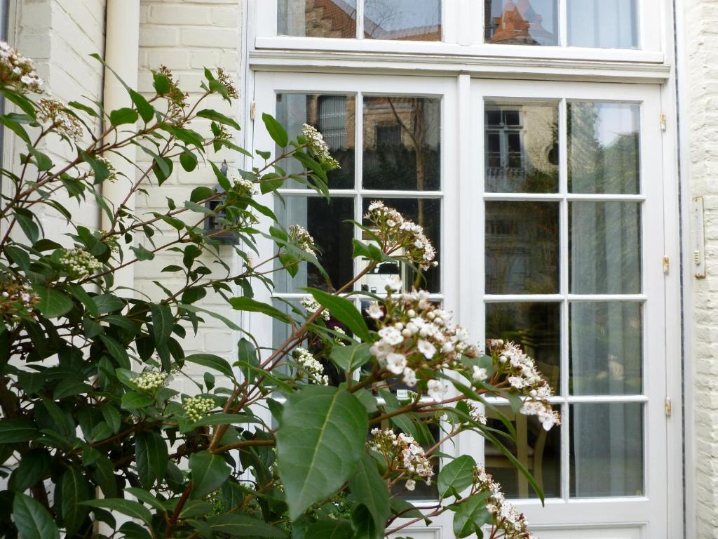 Hotel Alegria - Resim 36