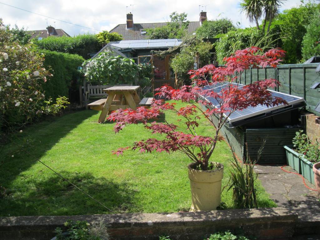 una maceta en un jardín con una mesa de picnic en Perfect for Petersfield B&B en Petersfield