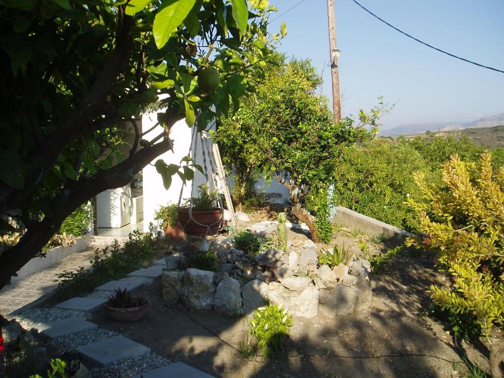 Príroda v okolí apartmánu
