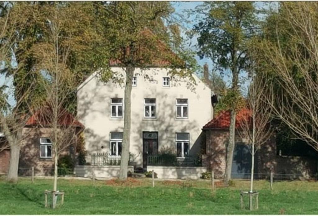 een groot wit huis met bomen ervoor bij B&B Buggenum Palace in Buggenum