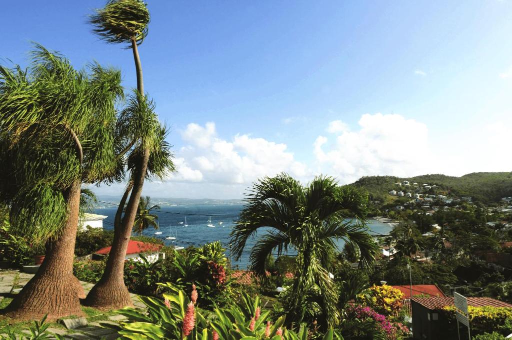 a view of the ocean from a resort with palm trees at Le Panoramic in Les Trois-Îlets