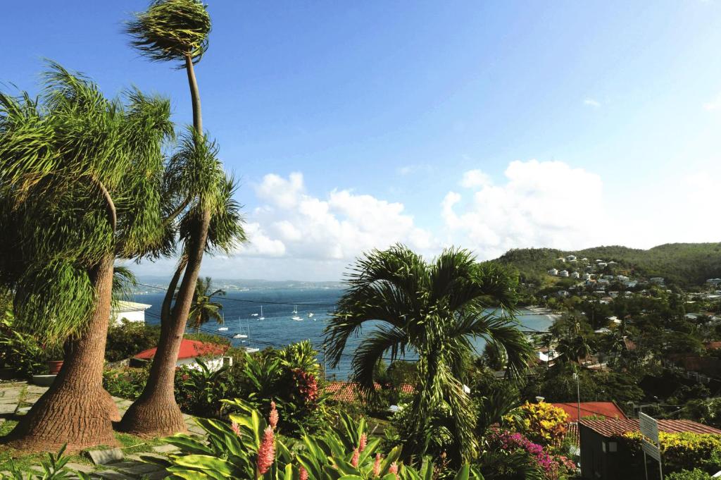 - Vistas al océano desde un complejo con palmeras en Le Panoramic, en Les Trois-Îlets