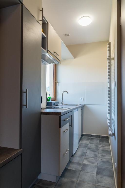 Kuchyňa alebo kuchynka v ubytovaní Apartamenty Koba