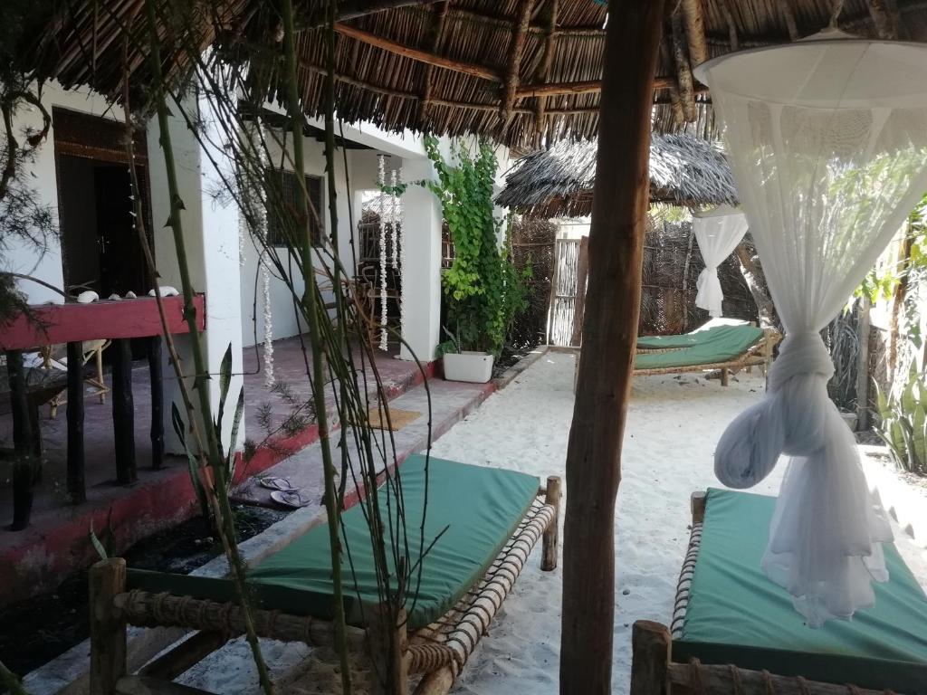 帕傑的住宿－Sunny House Paje II，一个带椅子和遮阳伞的庭院。