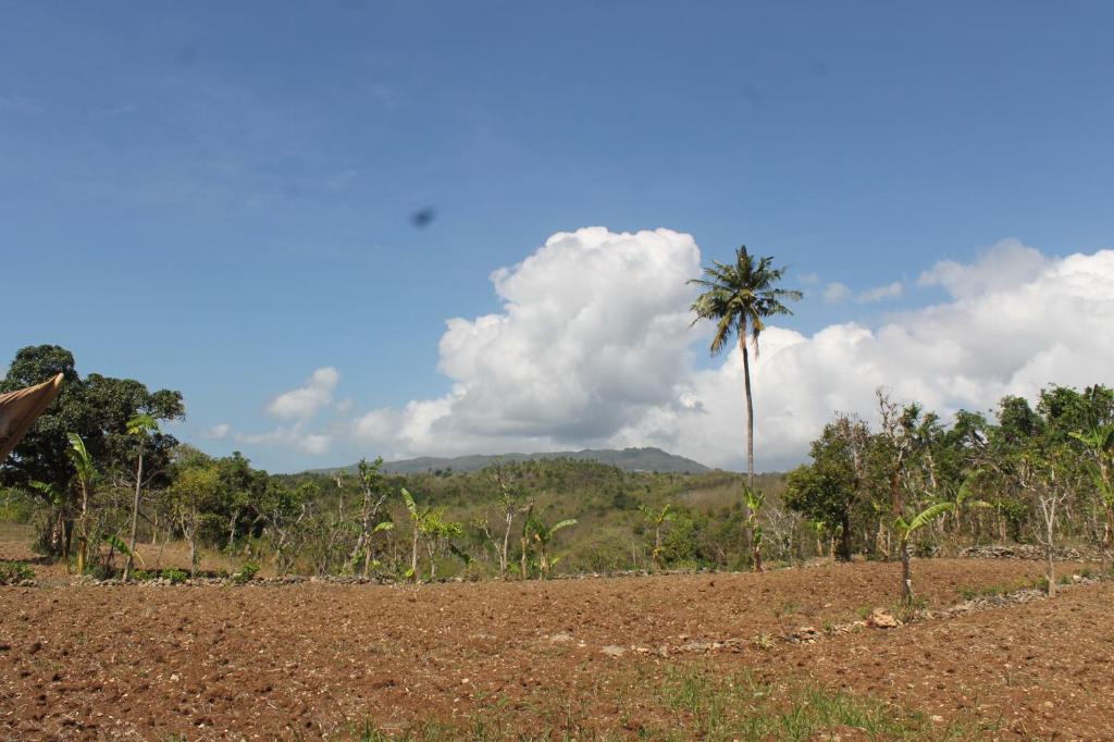 Tunjung Kuning Cottage - 4