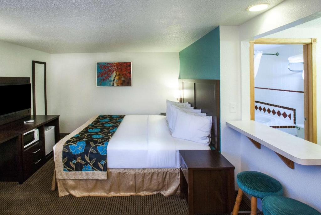 a hotel room with a bed and a television at Baymont by Wyndham Keystone Near Mt. Rushmore in Keystone