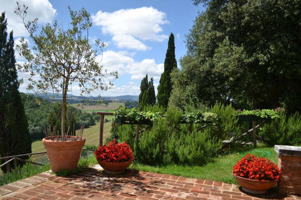 Zahrada ubytování Villa Sant'Alberto