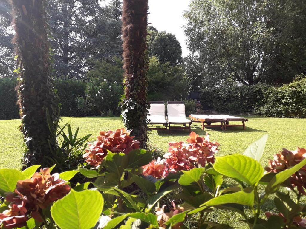 O grădină în afara B&B Al Roncaccio