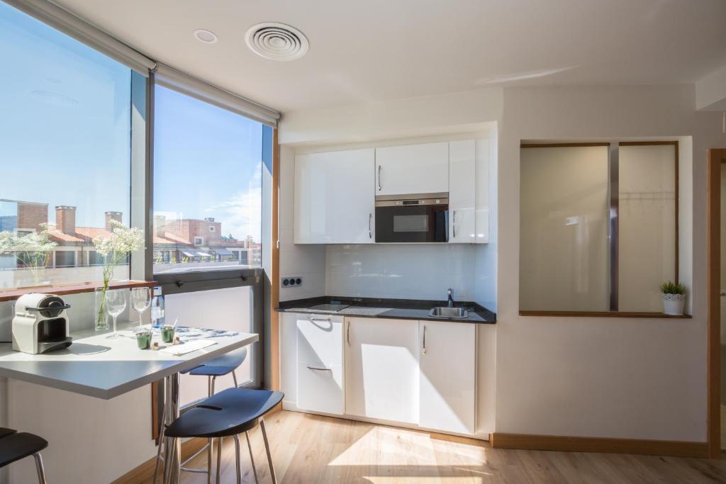Kuchyň nebo kuchyňský kout v ubytování Hotel Palacio de Aiete