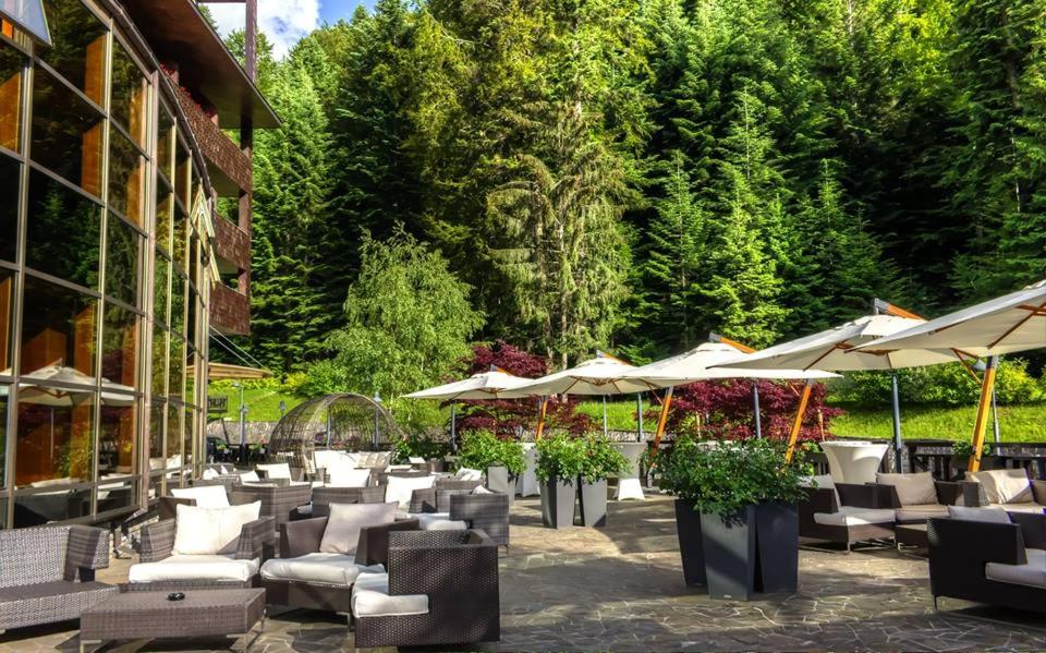 Zahrada ubytování Lux Garden Hotel