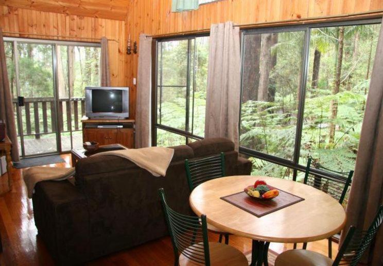 TV a/nebo společenská místnost v ubytování Springbrook Mountain Chalets