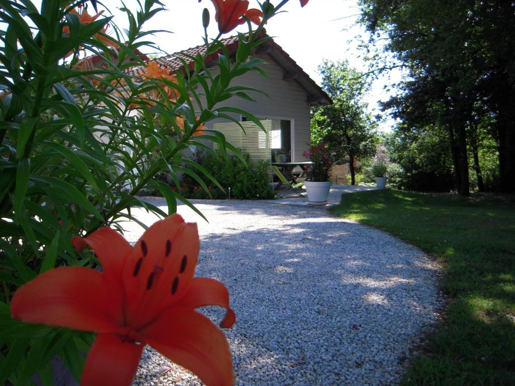 a red flower on a bush in front of a house at Chalet Rocamadour in Lanzac