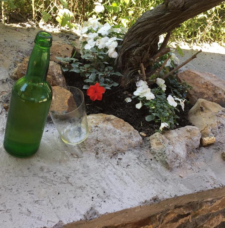 Flor de Pomar - Holiday Home