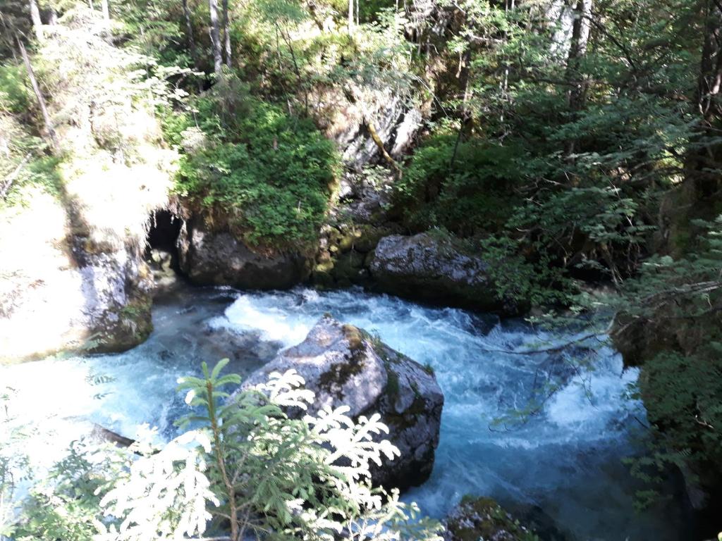 Paesaggio naturale nelle vicinanze dell'appartamento