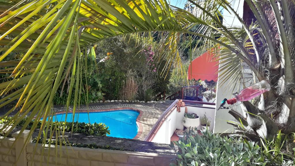 een zwembad in een tuin met palmbomen bij Masescha Country Estate in Plettenbergbaai