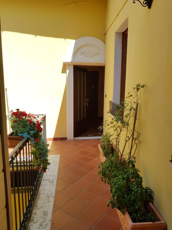 un corridoio di una casa con delle piante sopra di B&B- Il Roma a Sulmona