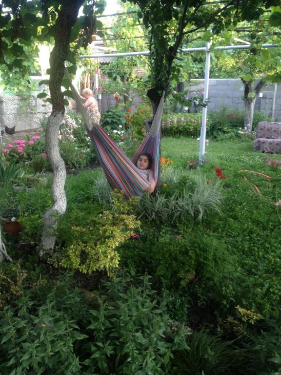 Zahrada ubytování Guesthouse AISI in Lagodekhi