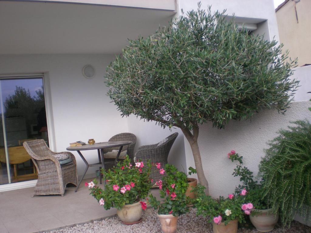 een patio met een tafel en stoelen en een boom bij la scribote in Marseillan