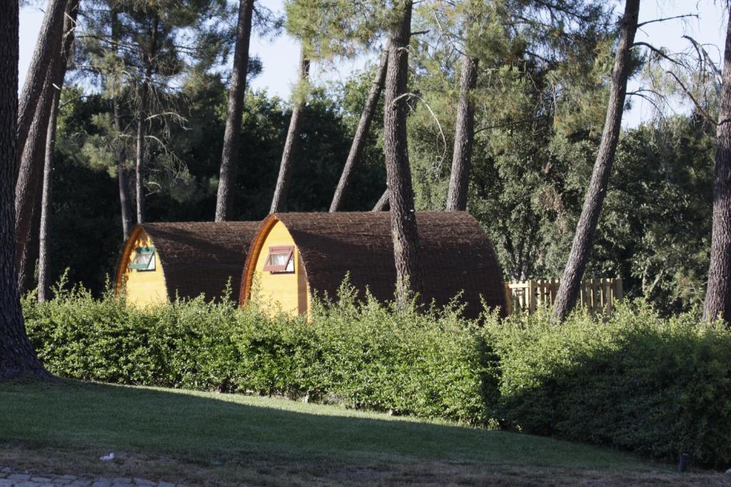 Zahrada ubytování Camping Oleiros