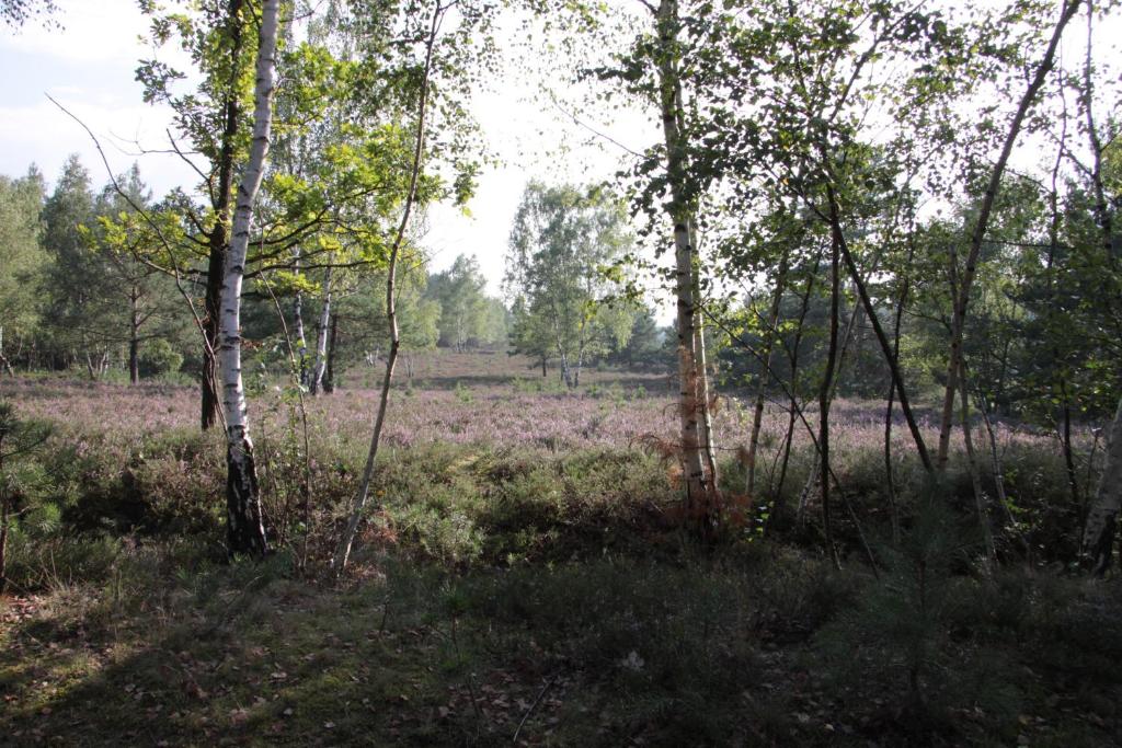 Příroda nedaleko apartmánu