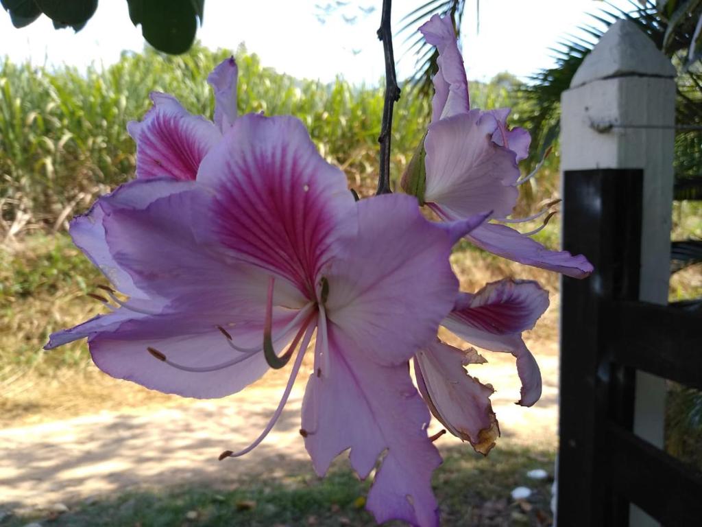  Rancho Lua Branca